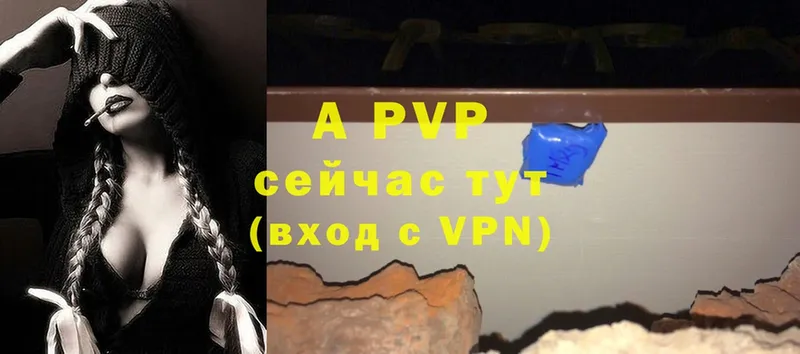 A PVP СК  Зеленоградск 